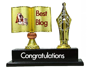 a best blog award 